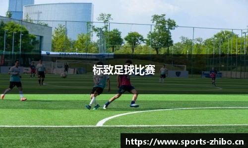 智博体育官网