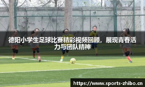 智博体育平台