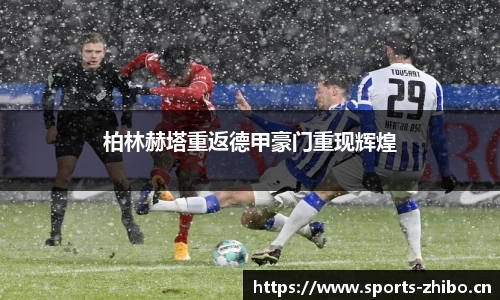 智博体育官网