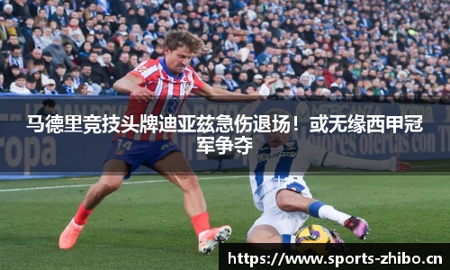 智博体育官网