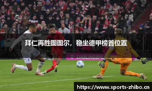 智博体育官网