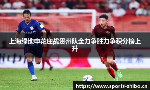 智博体育官方网站